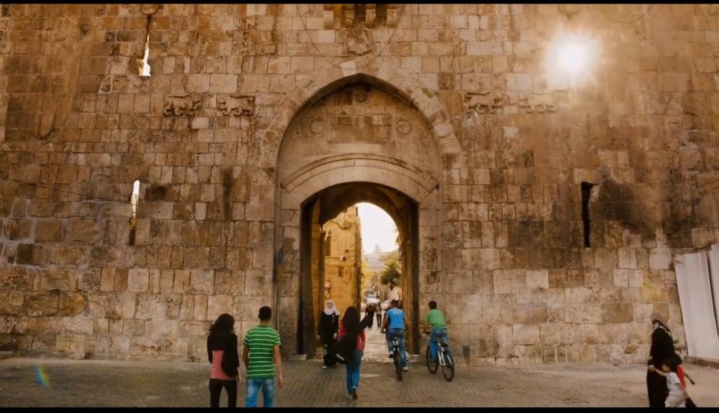 A porta das ovelhas