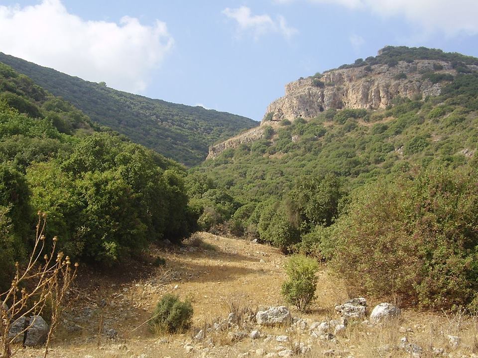 MONTE CARMELO