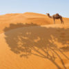 Merzouga