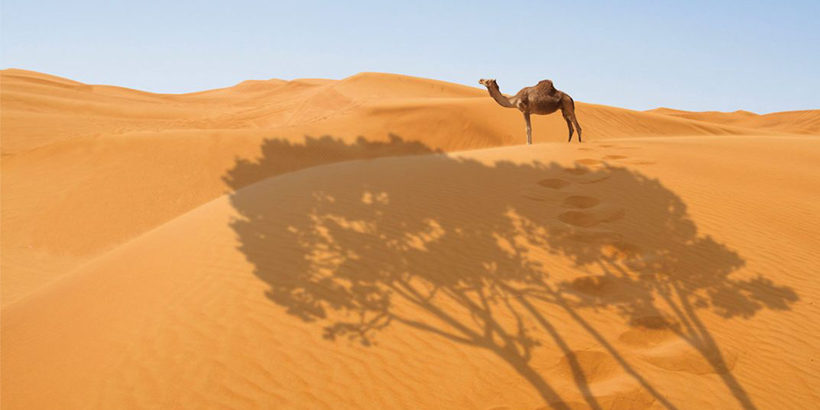Merzouga