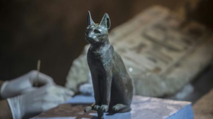 EXPOSIÇÃO EXPLORA ATIVIDADE DE ANIMAIS - VPI TURISMO