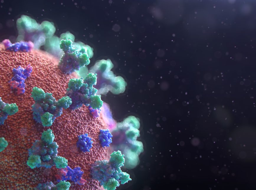 CORONA VIRUS - COVID 19 - VPI TURISMO EXPLICA