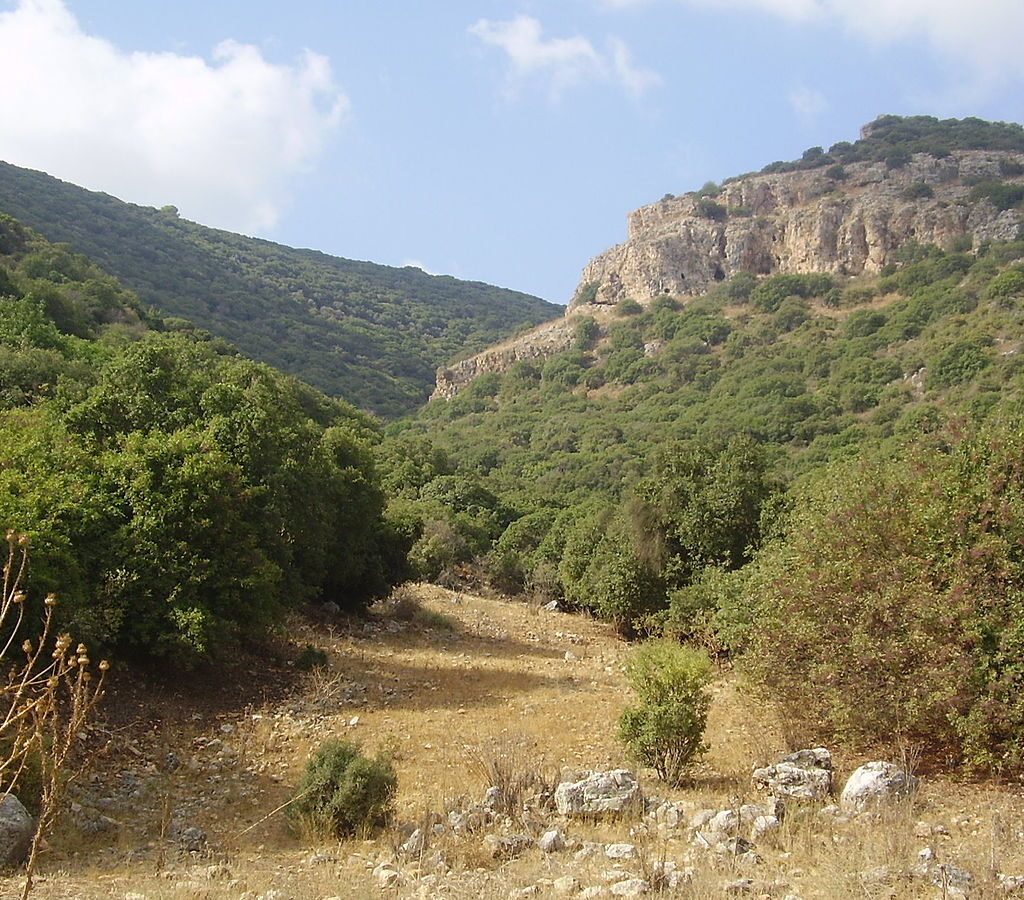 MONTE CARMELO EM ISRAEL- VPI TURISMO- VIAGEM- EXCURSÃO