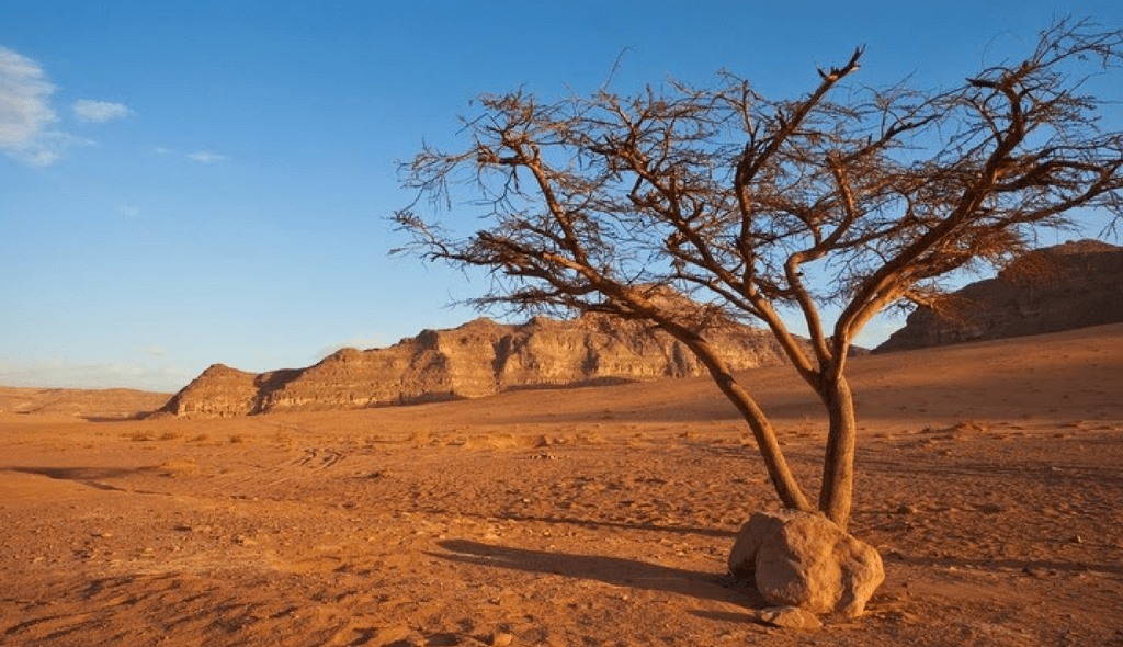 DESERTO DE SIM NO EGITO- VPI TURISMO- VIAGEM- EXCURSÃO