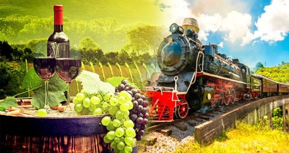 TOUR UVA E VINHO, GRAMADO COM A VPI