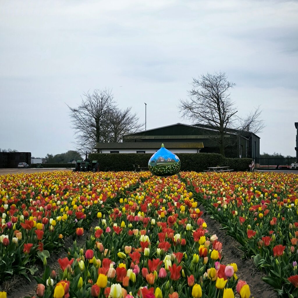 Lisse: o cenário mais florido da Holanda onde a primavera se transforma em arte